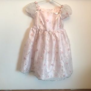 Cinderella flowered dress